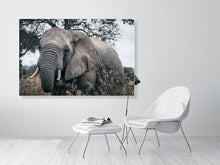 Load image into Gallery viewer, 4839073-1114338