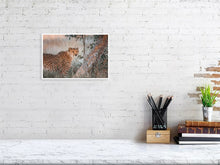 Load image into Gallery viewer, 4844737-1115107