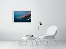 Load image into Gallery viewer, 4848563-1116006