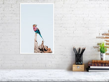 Load image into Gallery viewer, 4844728-1115112