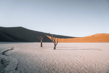 Load image into Gallery viewer, Skeleton Dance