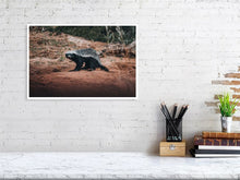 Load image into Gallery viewer, 4844706-1115132