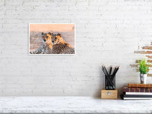 Load image into Gallery viewer, 4844908-1115103