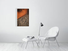 Load image into Gallery viewer, 4841041-1114572