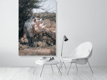 Load image into Gallery viewer, 4844707-1115130