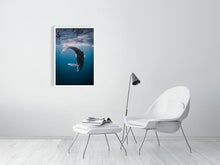 Load image into Gallery viewer, 4848570-1116014