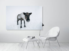 Load image into Gallery viewer, 4838614-1114318