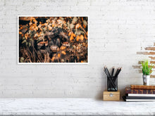 Load image into Gallery viewer, 4844698-1115136