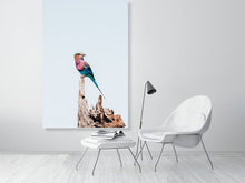 Load image into Gallery viewer, 4844728-1115114