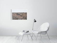 Load image into Gallery viewer, 4844693-1115141