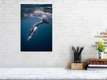 Load image into Gallery viewer, 4848578-1116009