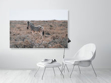 Load image into Gallery viewer, 4844693-1115142