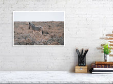 Load image into Gallery viewer, 4844693-1115140