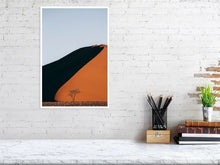 Load image into Gallery viewer, 4844657-1115169