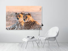 Load image into Gallery viewer, 4844908-1115106