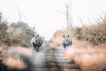 Load image into Gallery viewer, Sentries