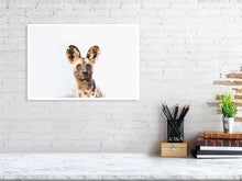 Load image into Gallery viewer, 4844875-1115093