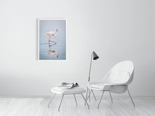 Load image into Gallery viewer, 4844689-1115145