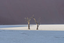 Load image into Gallery viewer, Waltz