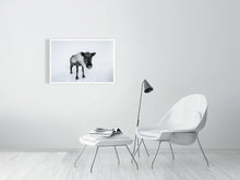 Load image into Gallery viewer, 4838614-1114317