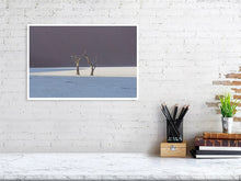 Load image into Gallery viewer, 4844666-1115161