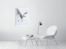 Load image into Gallery viewer, 4838595-1114304