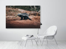 Load image into Gallery viewer, 4844706-1115134