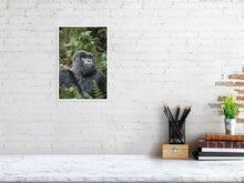 Load image into Gallery viewer, 4844672-1115151