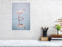 Load image into Gallery viewer, 4844689-1115144