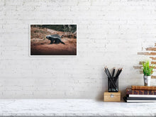 Load image into Gallery viewer, 4844706-1115131