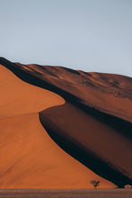 Load image into Gallery viewer, Sole Survivor