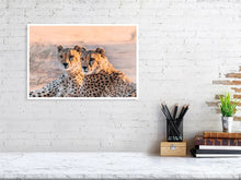 Load image into Gallery viewer, 4844908-1115104