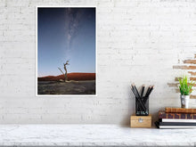 Load image into Gallery viewer, 4841449-1114634