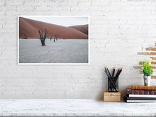 Load image into Gallery viewer, 4841440-1114638
