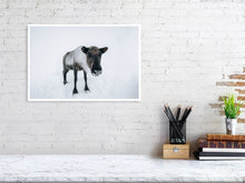 Load image into Gallery viewer, 4838614-1114316