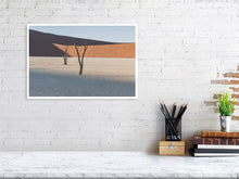 Load image into Gallery viewer, 4841456-1114622