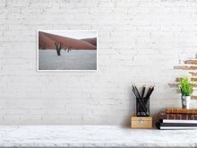 Load image into Gallery viewer, 4841440-1114637