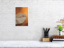 Load image into Gallery viewer, 4844646-1115172