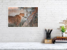 Load image into Gallery viewer, 4844737-1115108