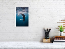 Load image into Gallery viewer, 4848570-1116012