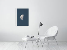Load image into Gallery viewer, 4841521-1114631