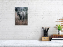 Load image into Gallery viewer, 4844879-1115088