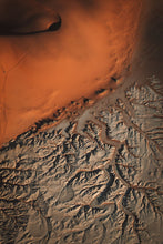 Load image into Gallery viewer, Desert Roots