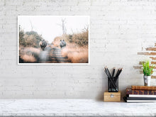 Load image into Gallery viewer, 4844903-1115097