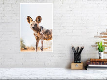 Load image into Gallery viewer, 4839725-1114350