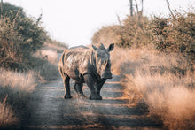 Load image into Gallery viewer, Road Block