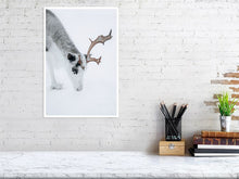 Load image into Gallery viewer, 4838595-1114303