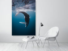 Load image into Gallery viewer, 4848570-1116015