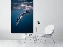 Load image into Gallery viewer, 4848578-1116011