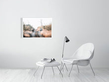 Load image into Gallery viewer, 4844903-1115098